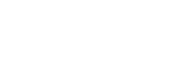 Ann Snyder Logo